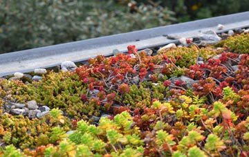 the cost of Feniscowles green roof installation