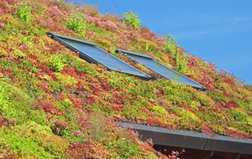 Feniscowles living roof systems